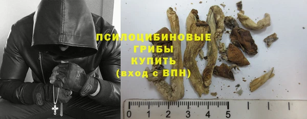 прущие крисы Алексеевка